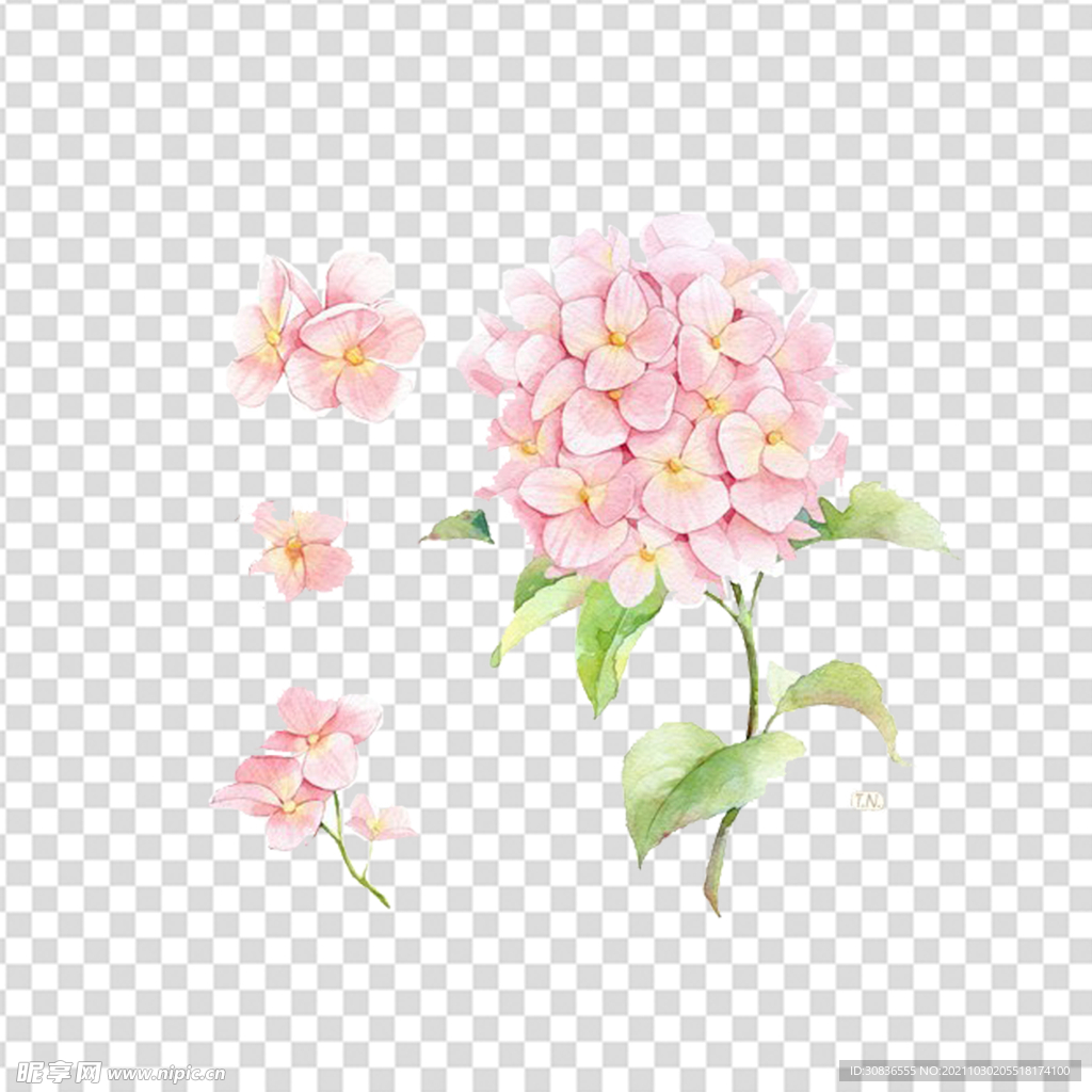花