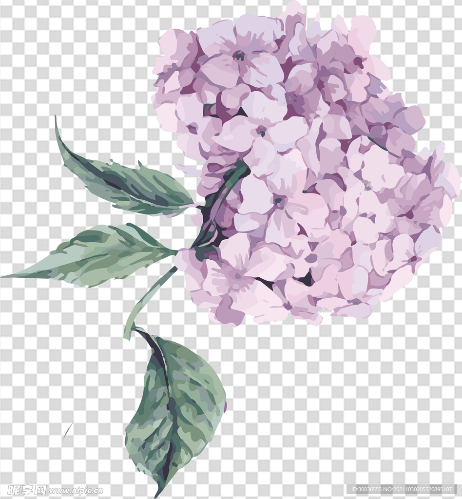 花 