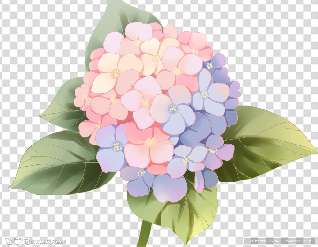 花 