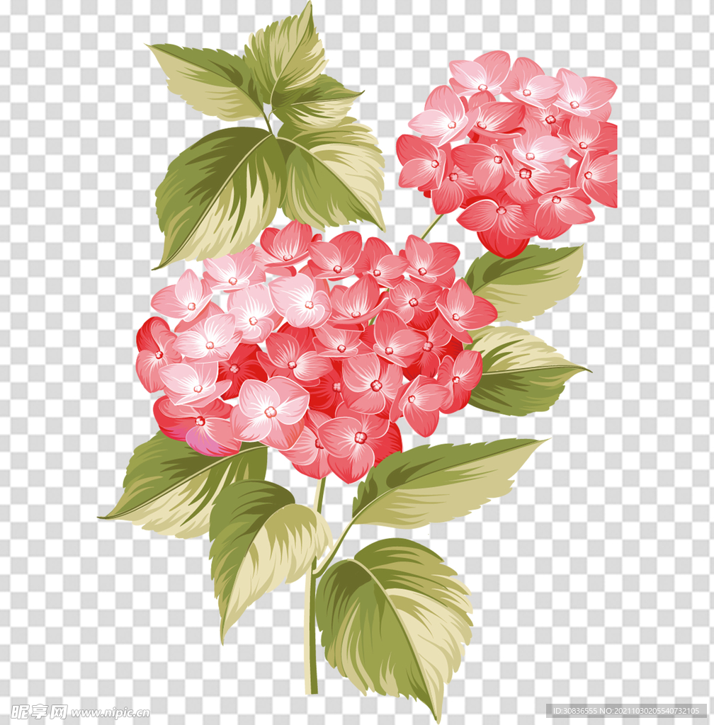 花 