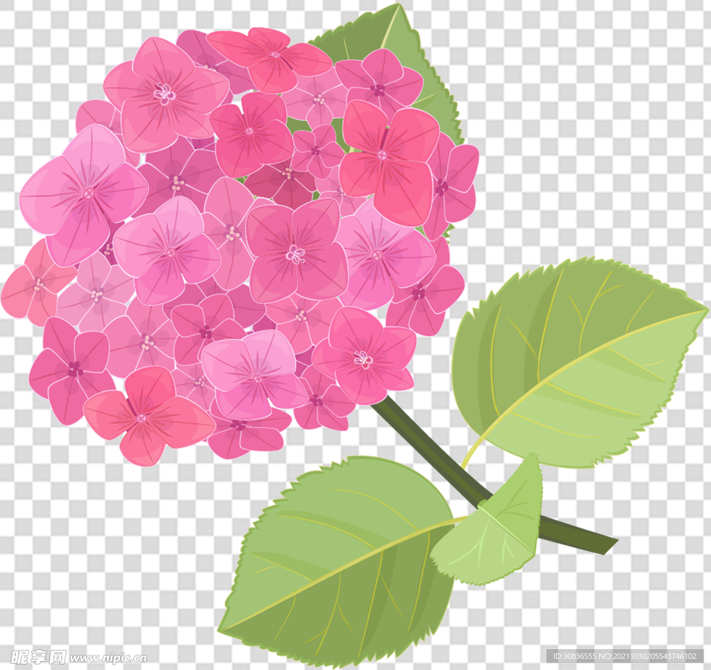 花 