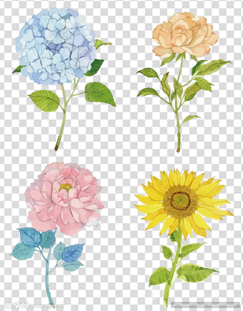 花 