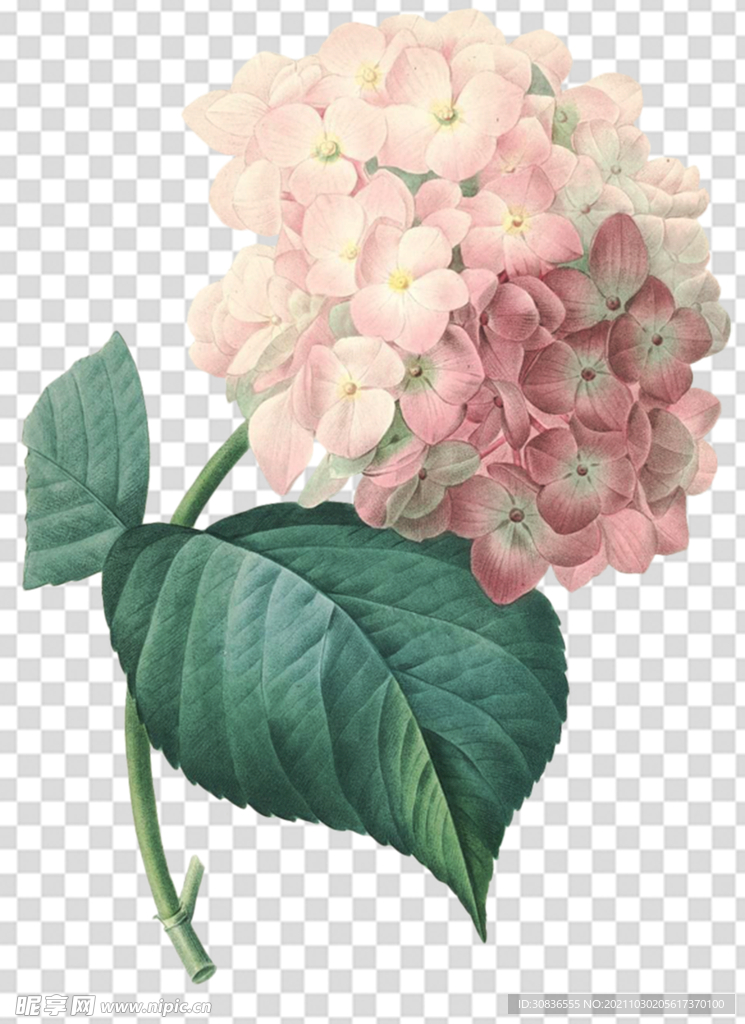 花