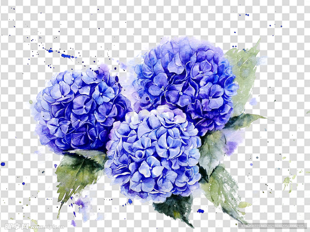 花 