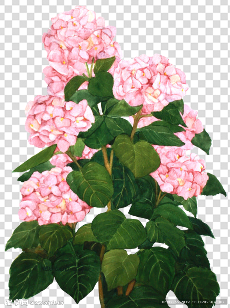花 
