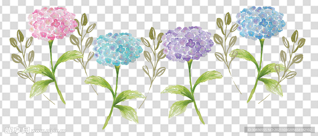 花 