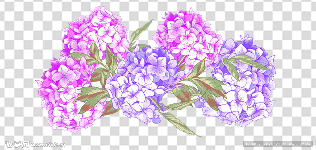 花 