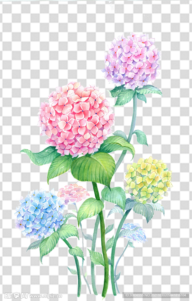 花 