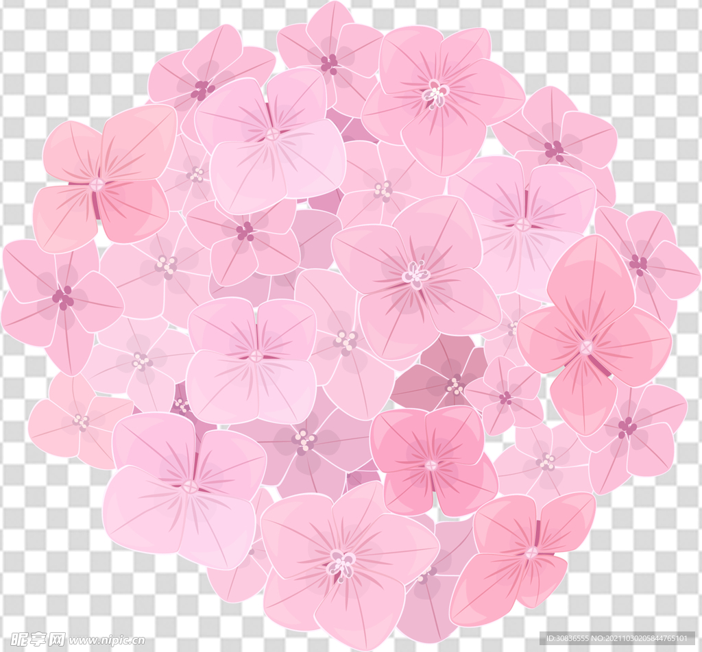 花 