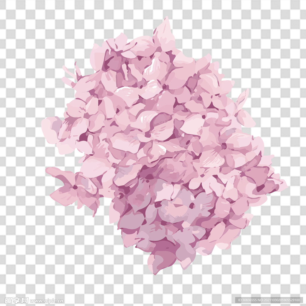 花 