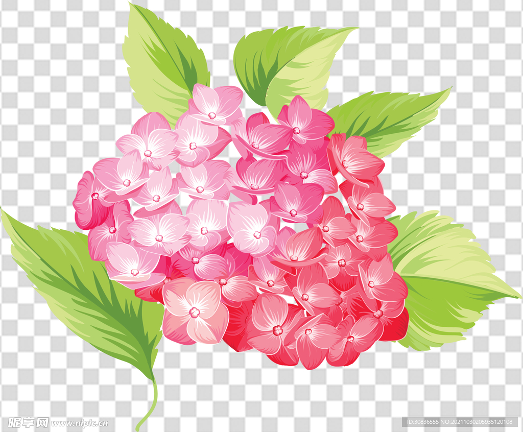 花 