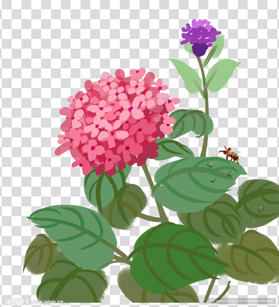 花 