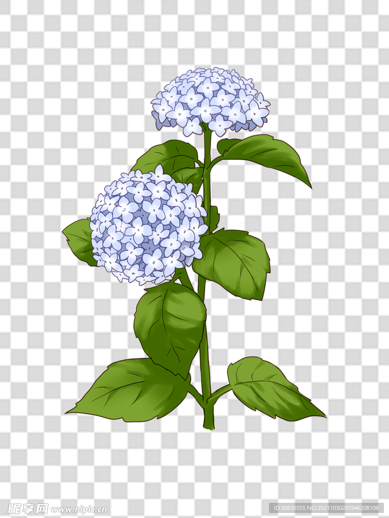 花