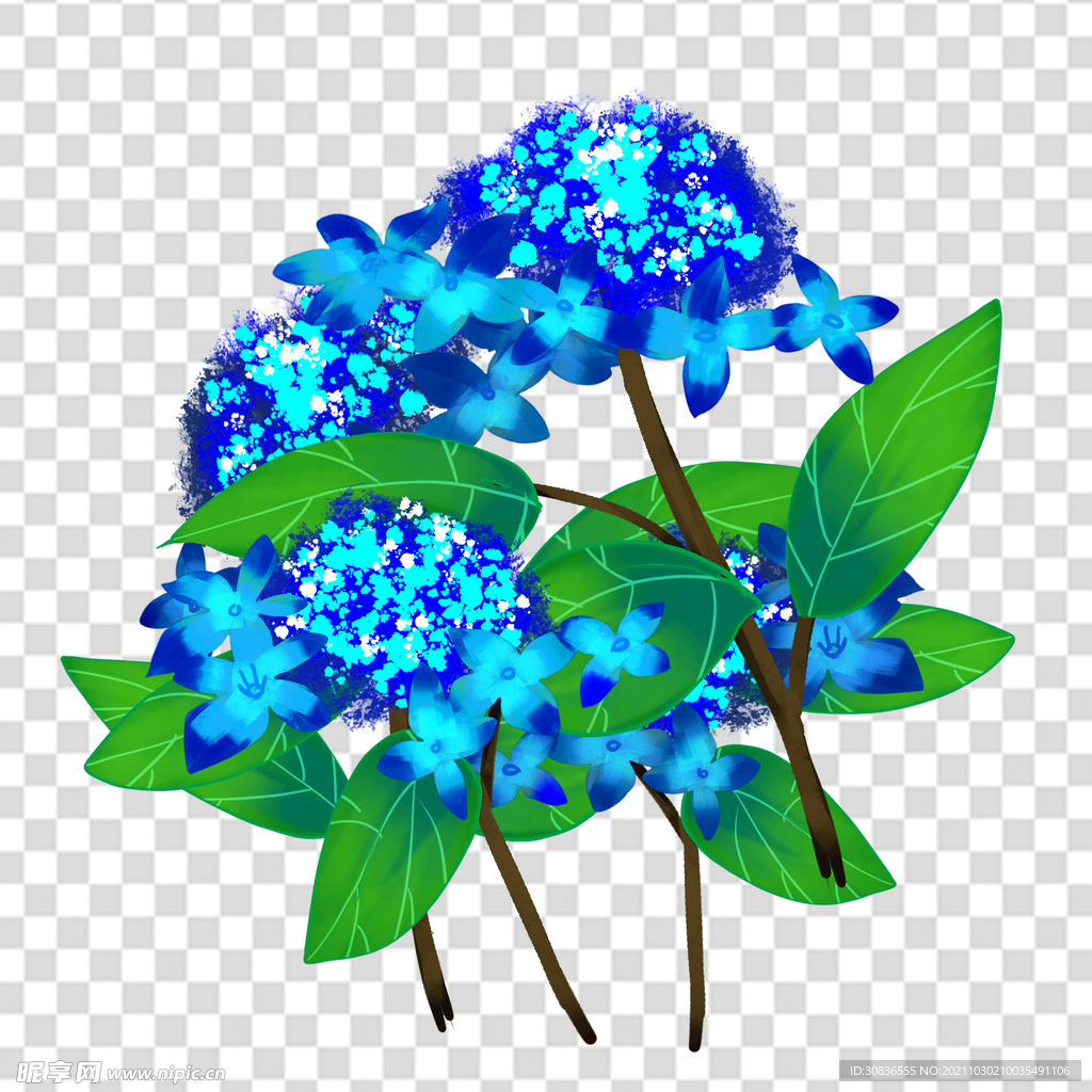 花 
