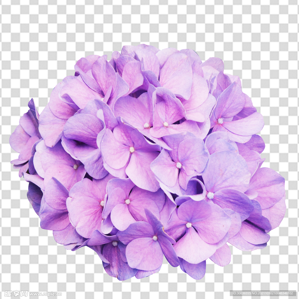 花 