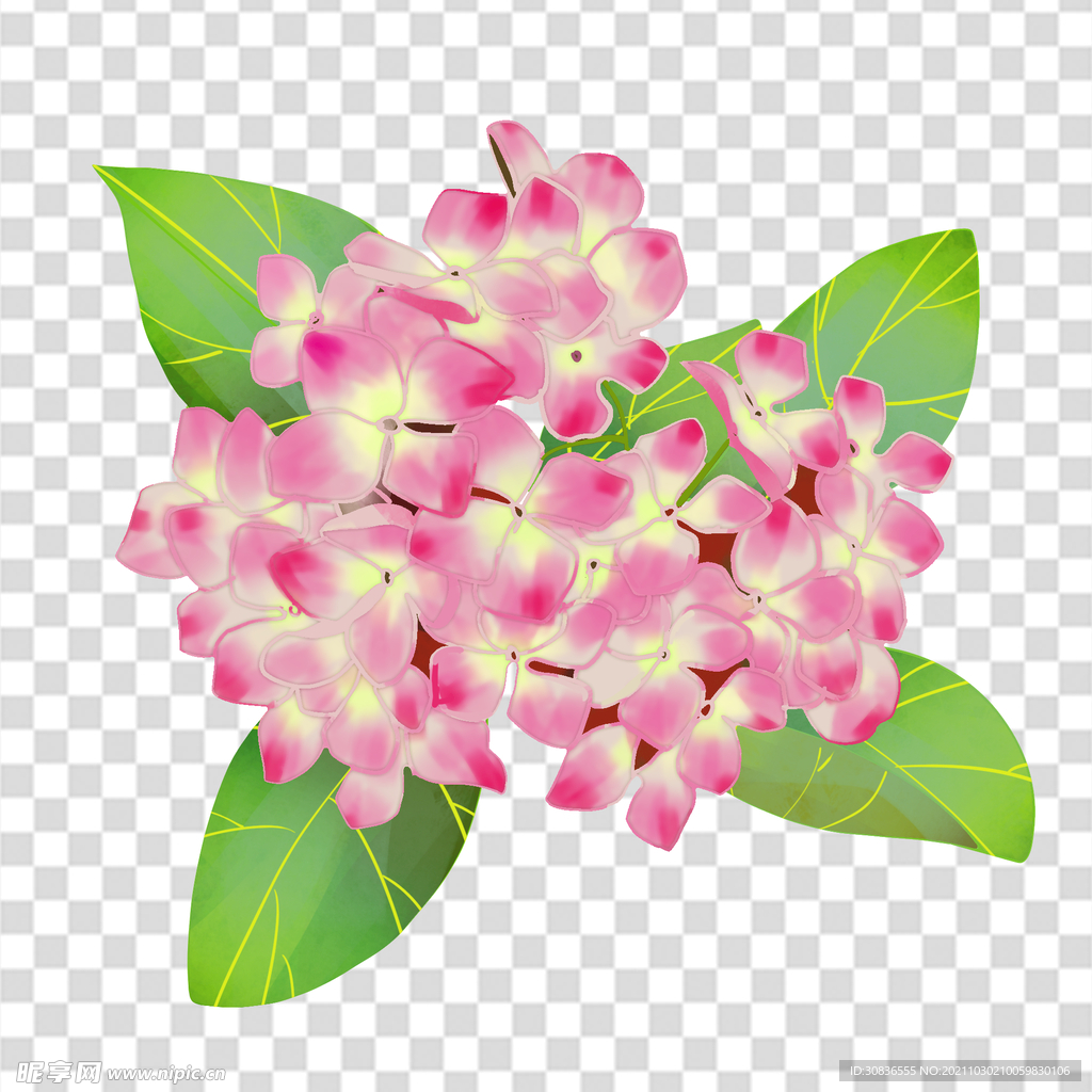 花 