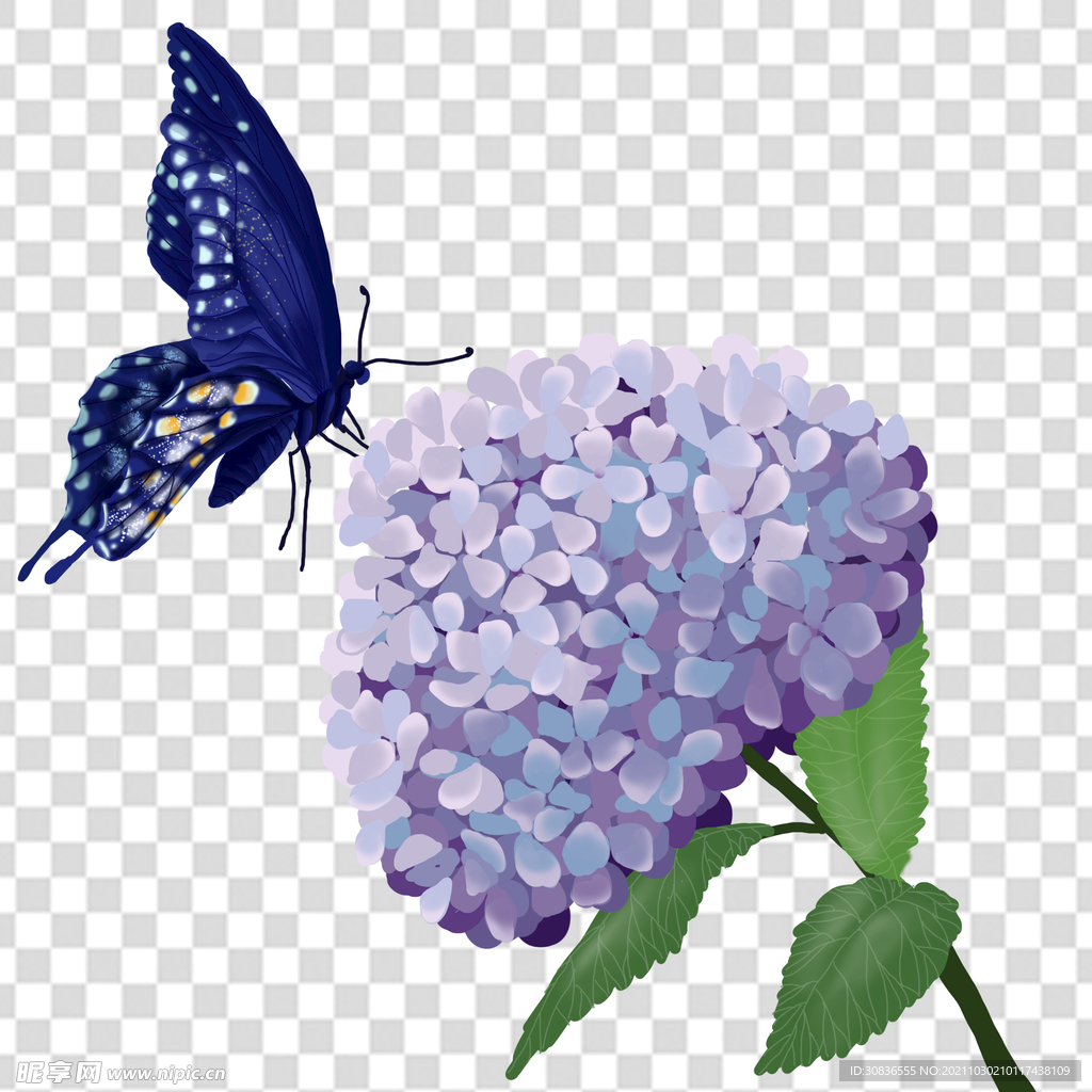 花 