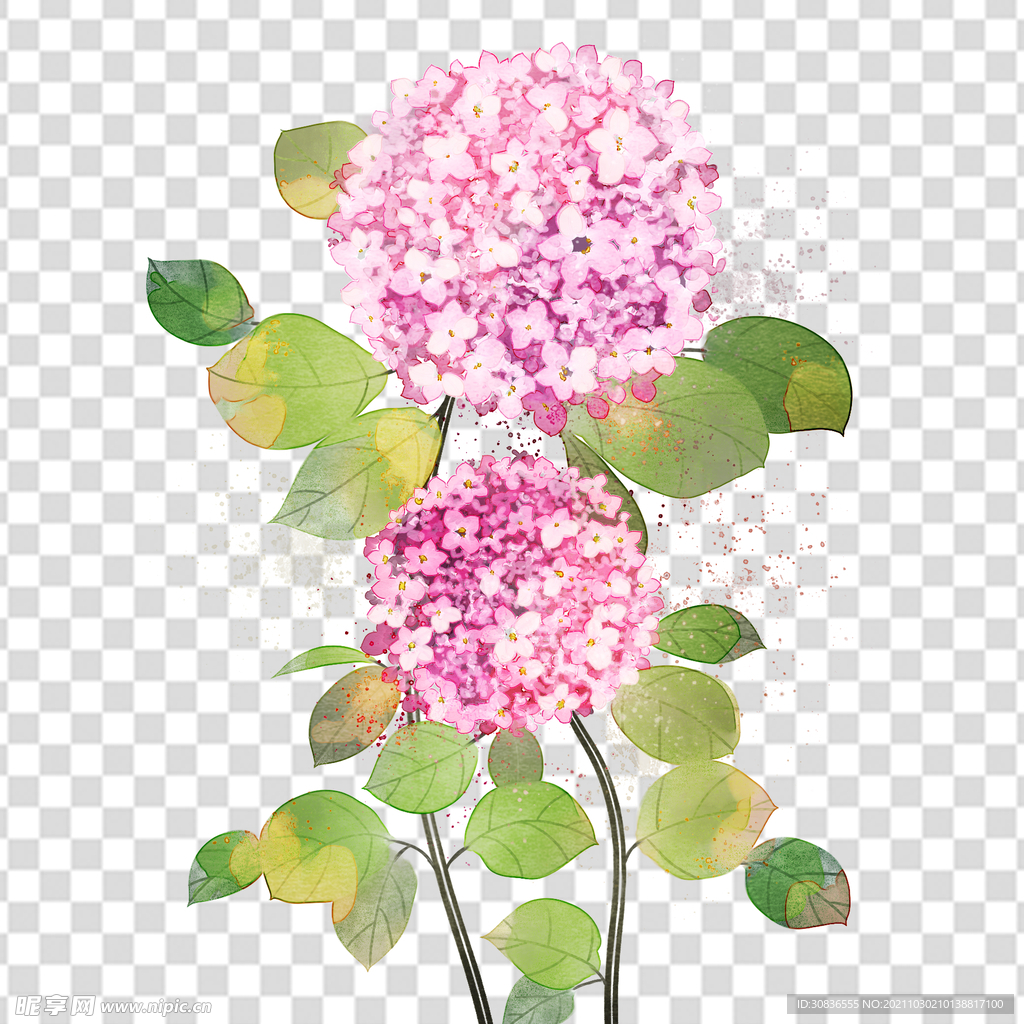 花 