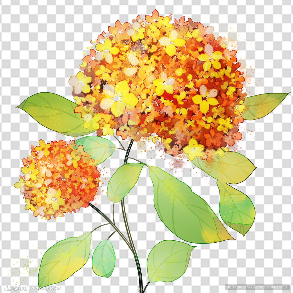 花 
