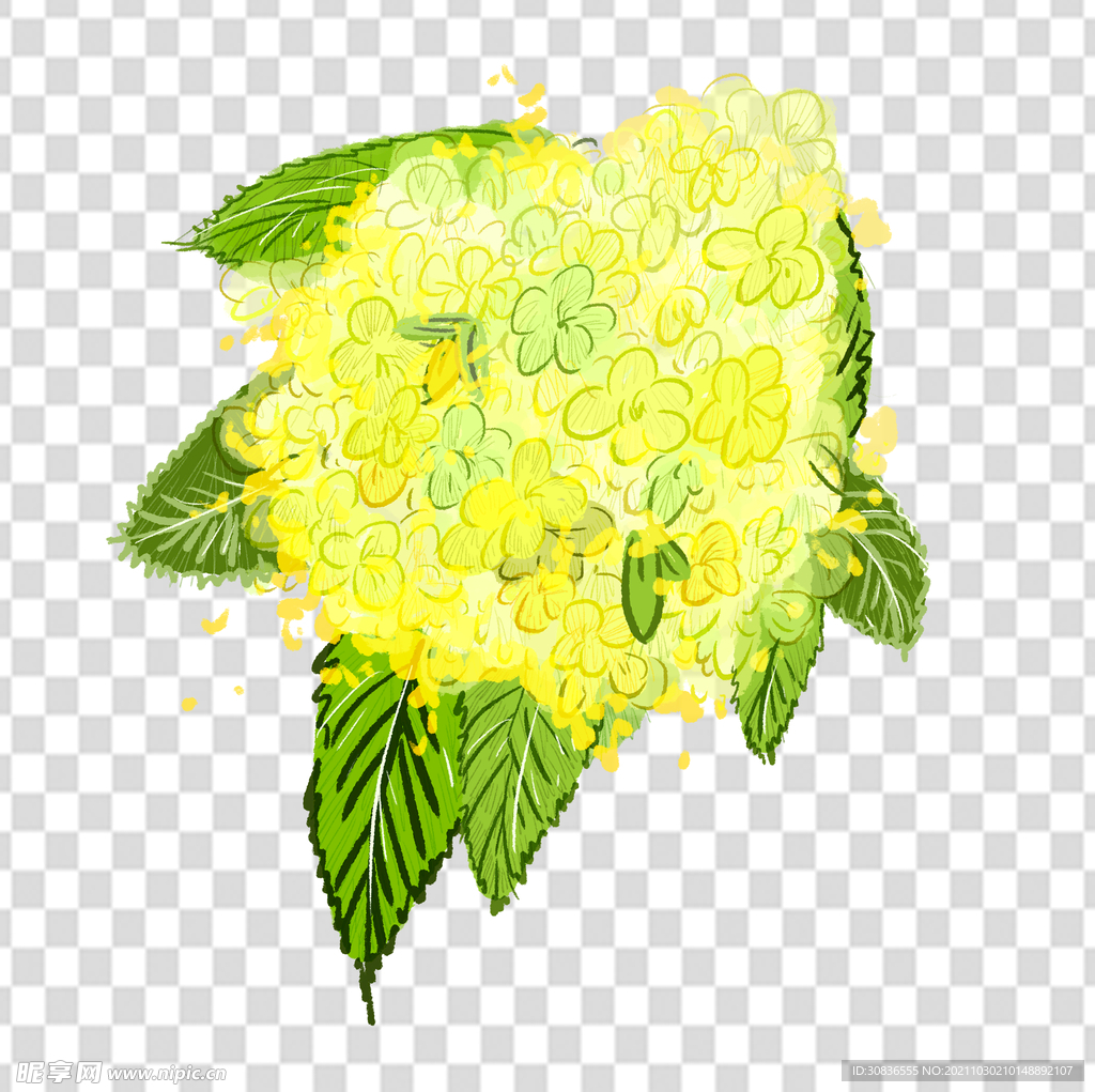 花 