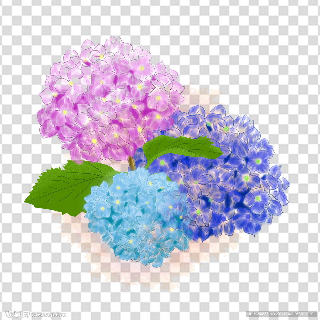 花 
