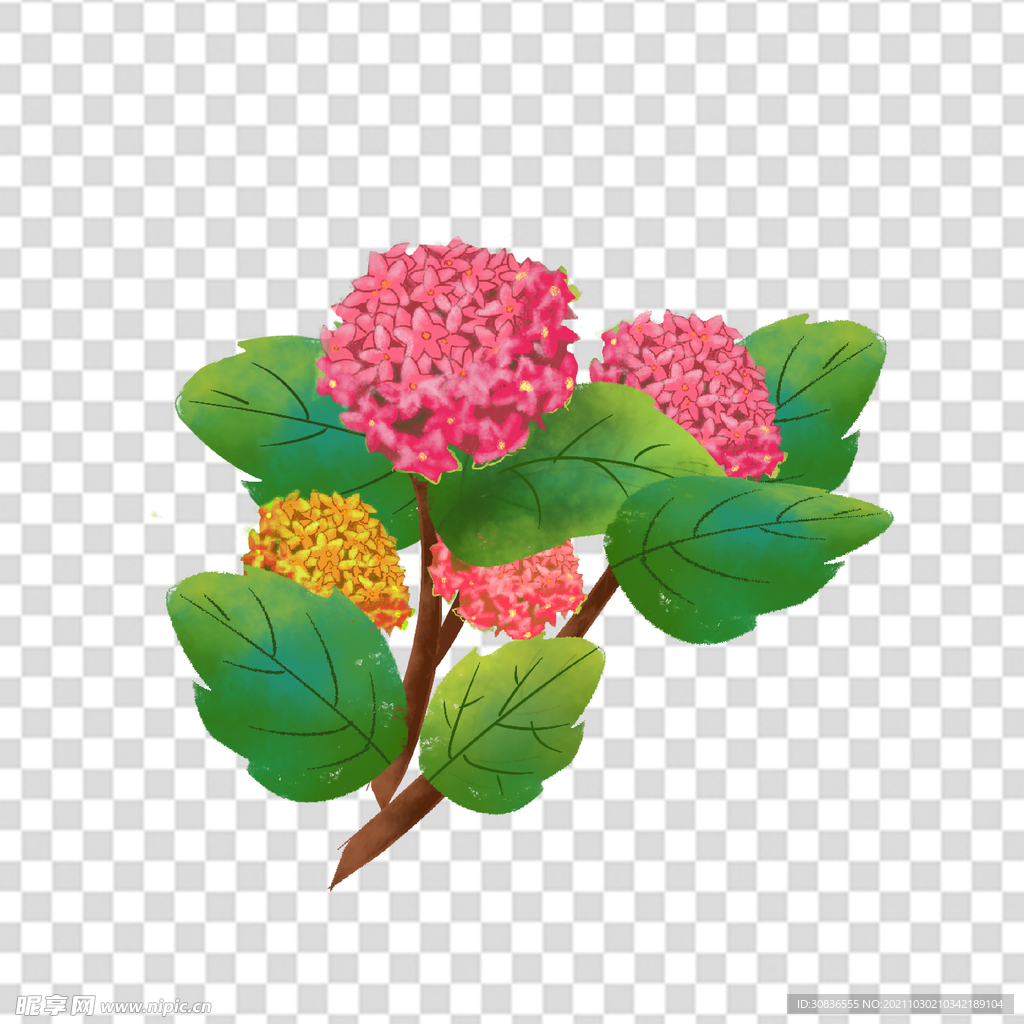 花 