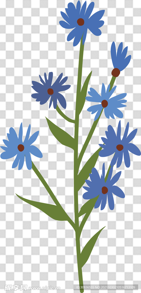 花 