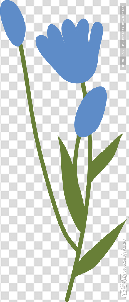 花 