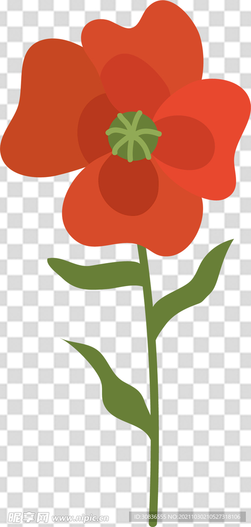 花 
