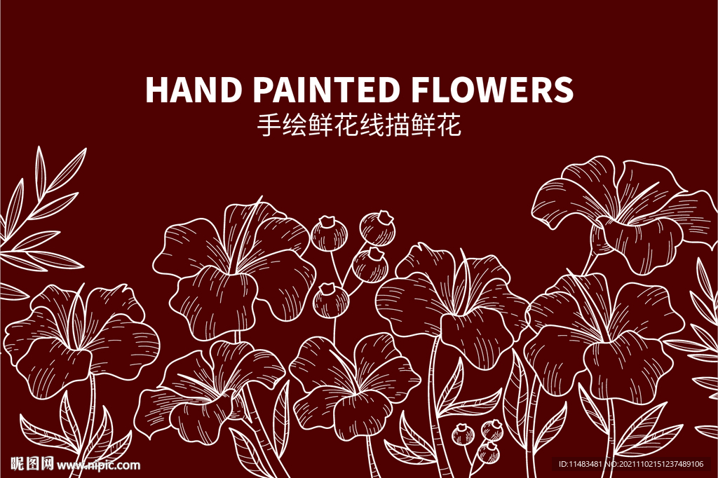 线描鲜花