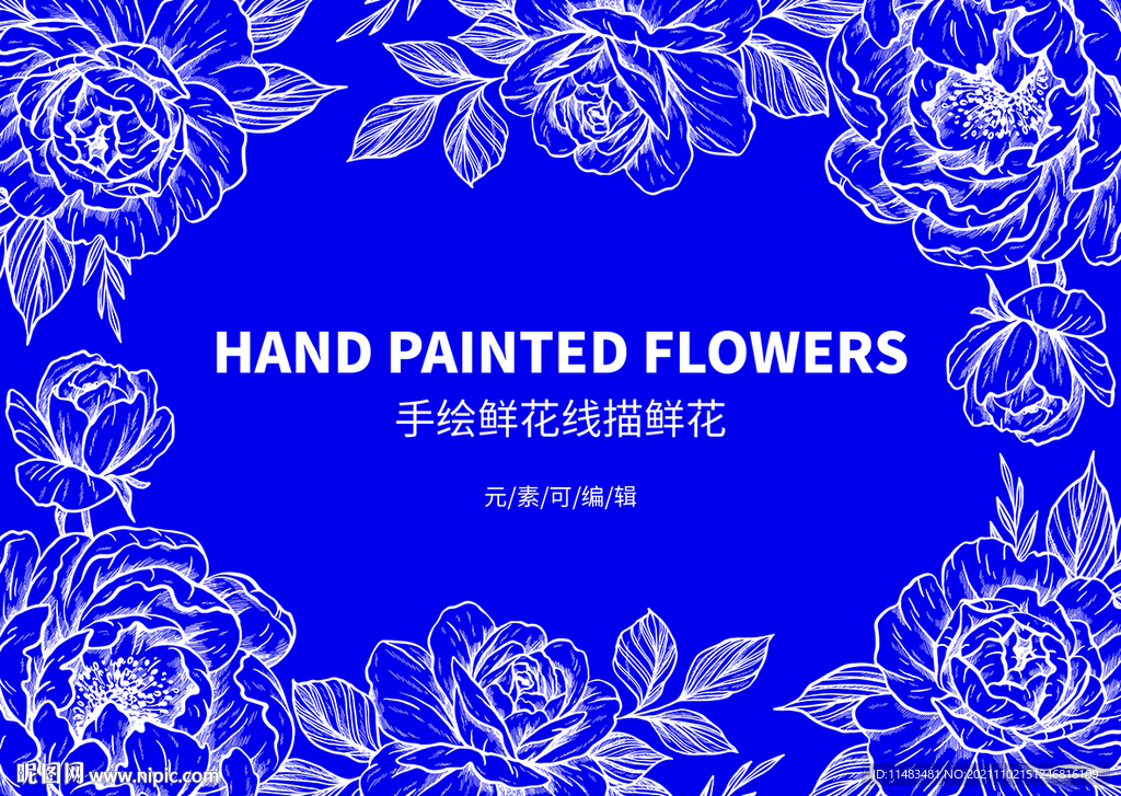 线描鲜花