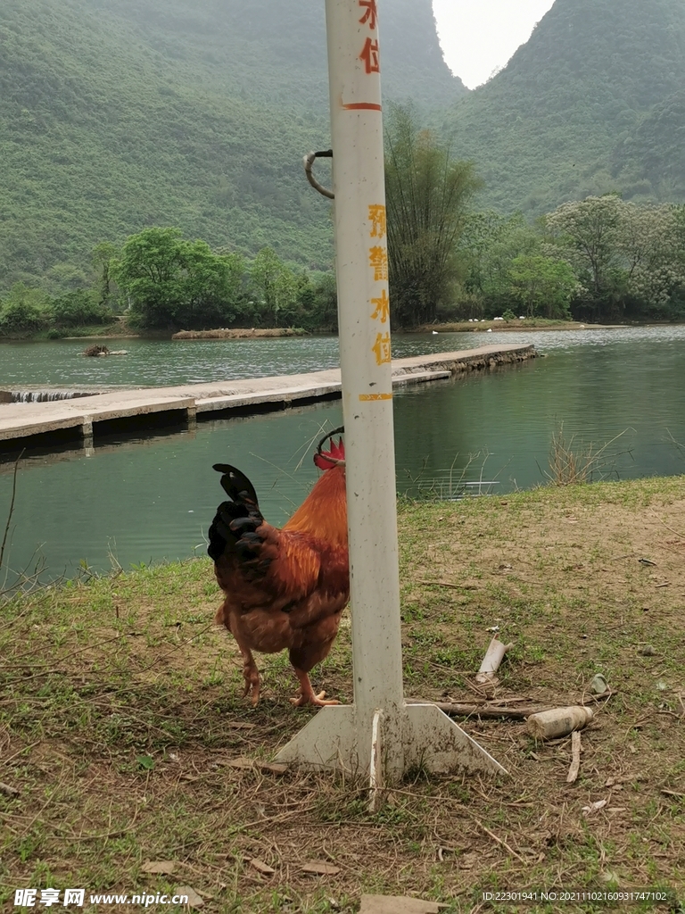 桂林山水 