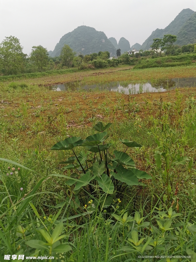 桂林山水