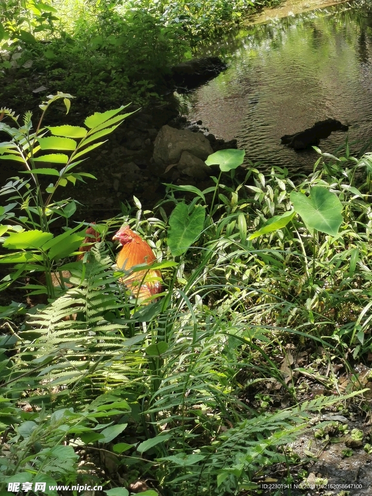 山间 