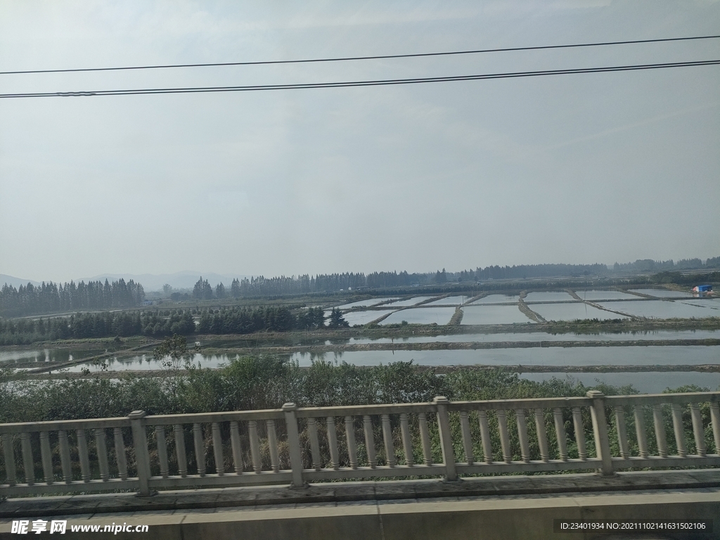 高铁窗外风景水塘水田农业