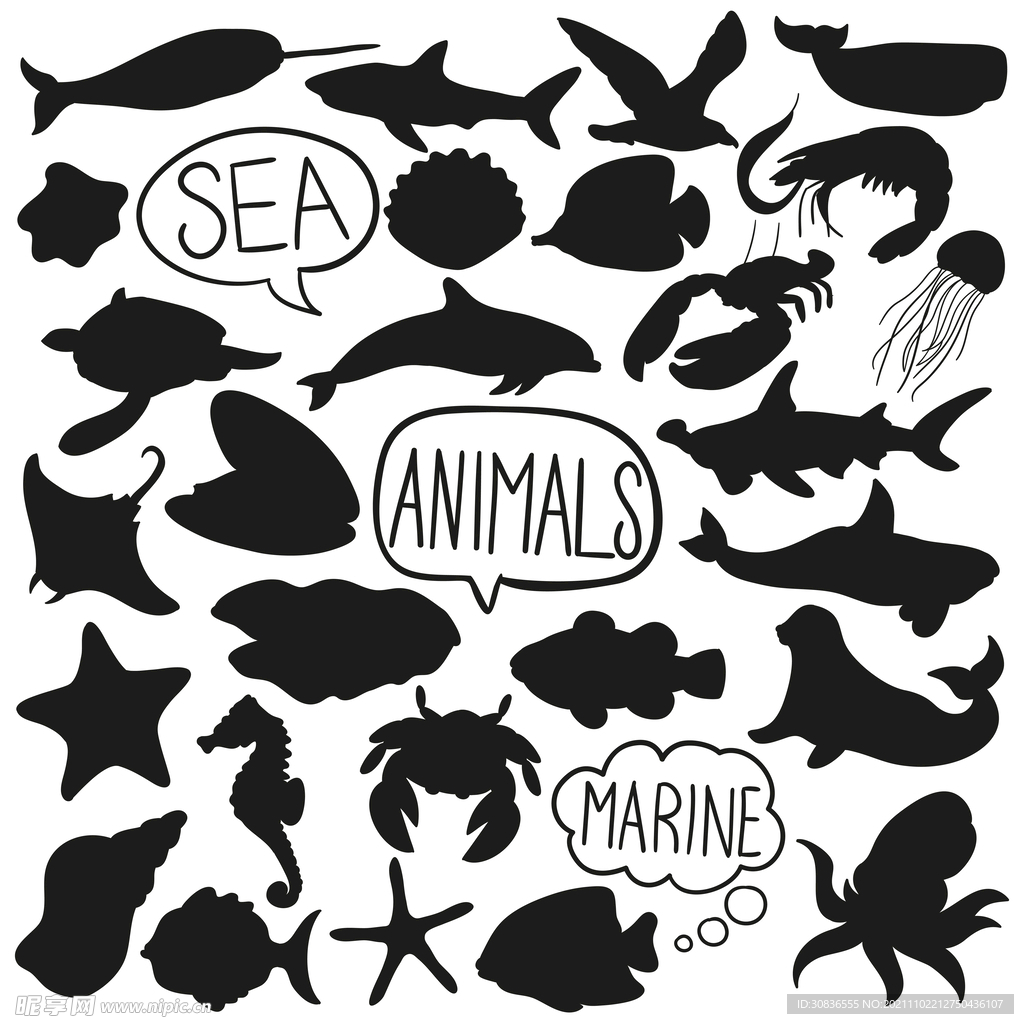 海洋生物剪影