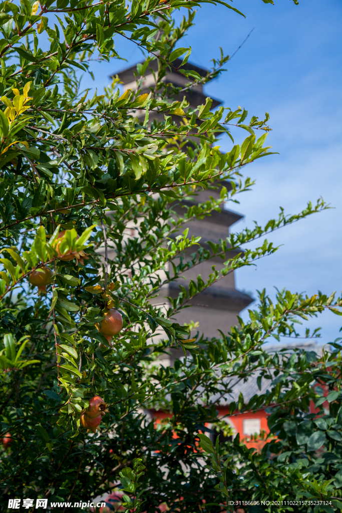 开元寺