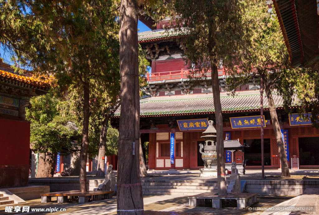 隆兴寺