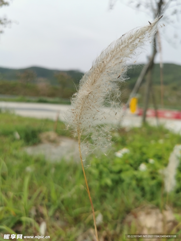 乡间小路 