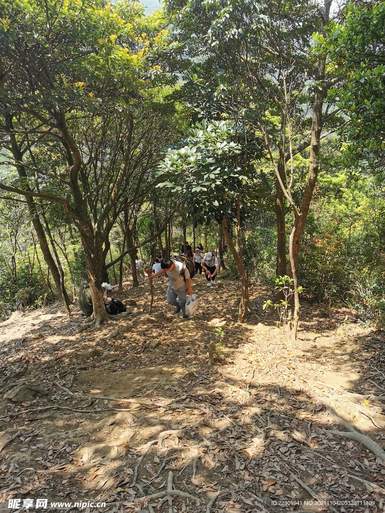 乡间小路