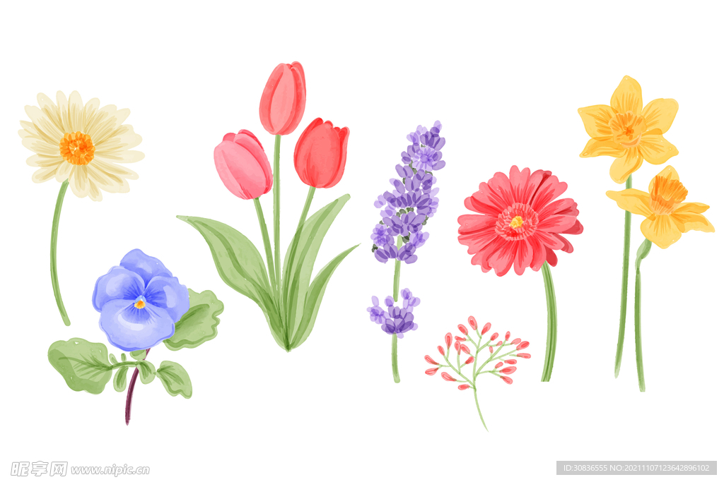 花 