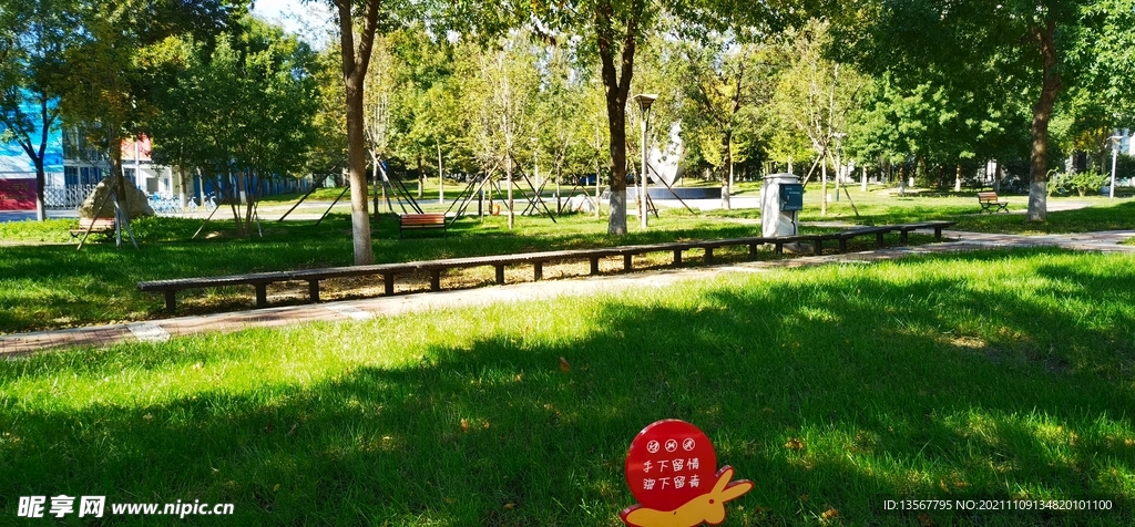 校园绿色