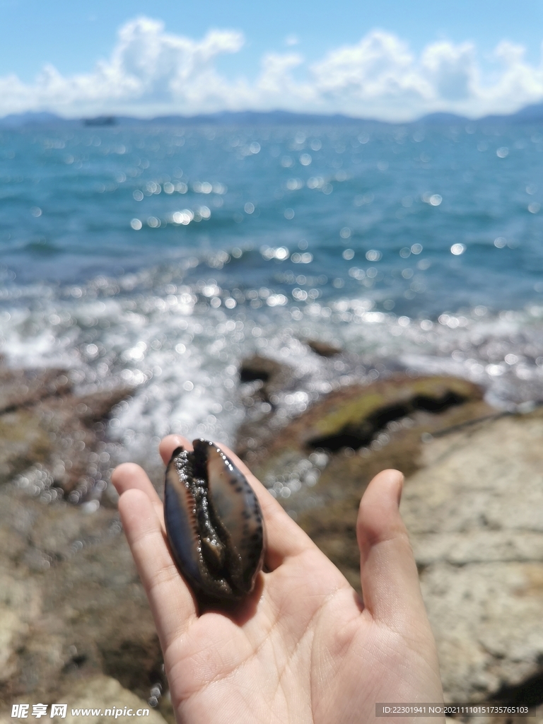 大海
