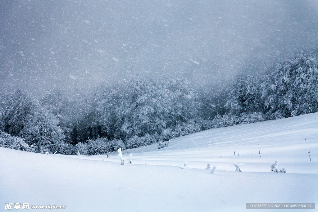 雪景