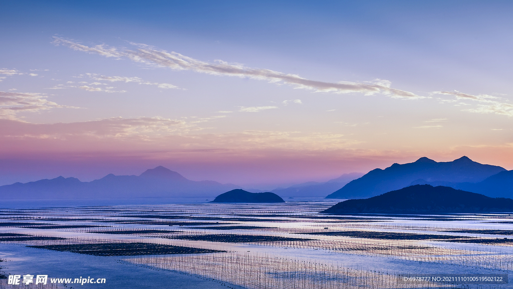 大海