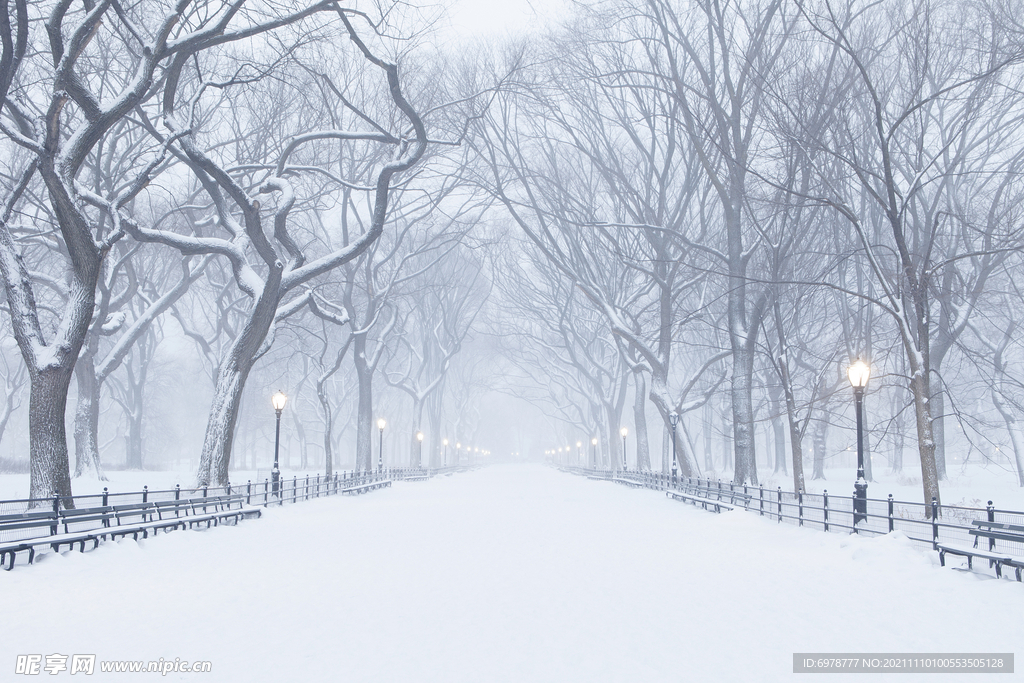 雪景