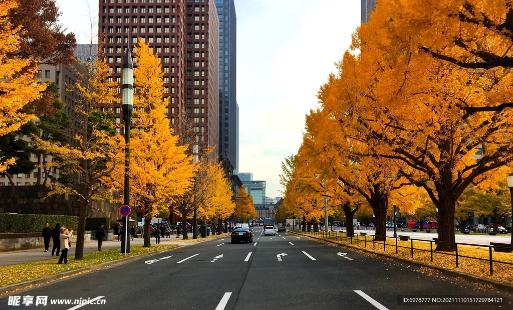 马路