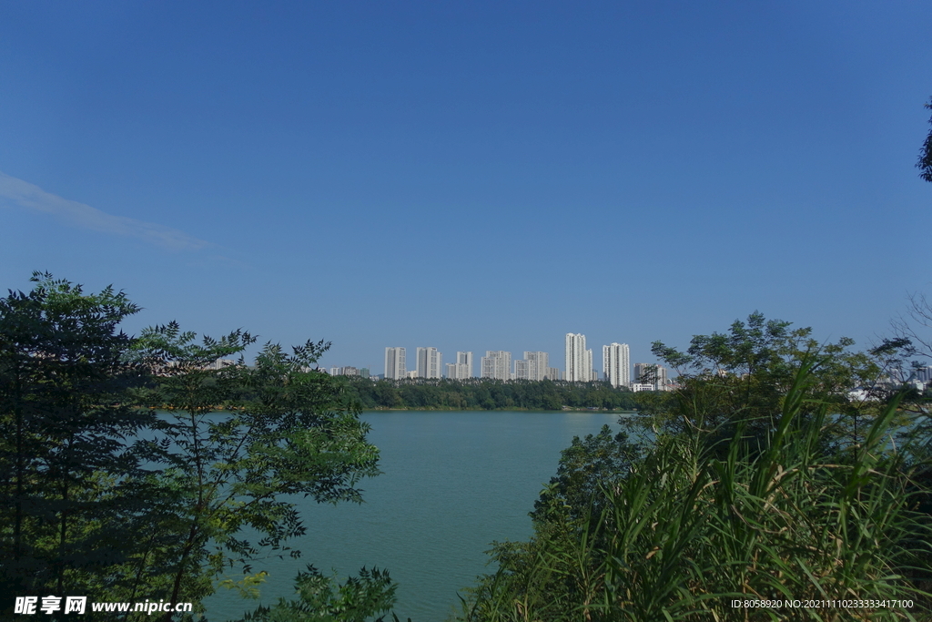 柳州河堤