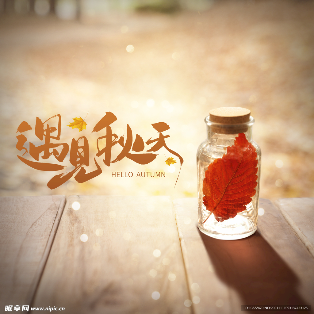 秋天海报