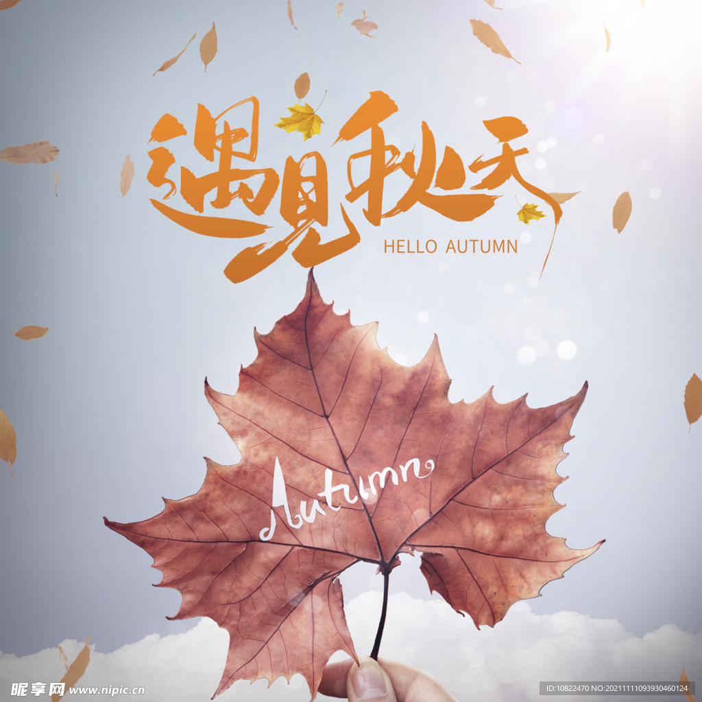 秋天海报